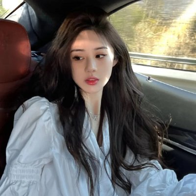 智叻狗仔队