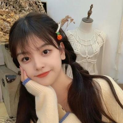 完美姐妹